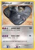 kittytrio