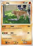 dog