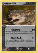 gray hound EX