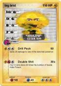 big brid 