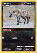 hyena