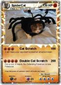 SpiderCat
