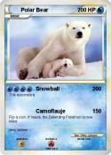 Polar Bear Polar Bear