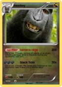 monkey