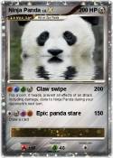 Ninja Panda