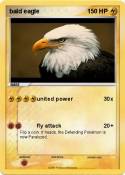bald eagle