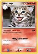 Kitten ninja