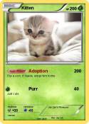 Kitten