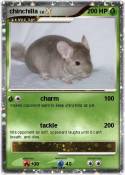 chinchilla chinchilla