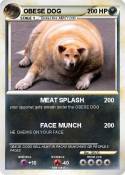 OBESE DOG
