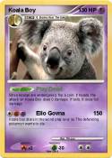Koala Boy