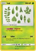 leaf
