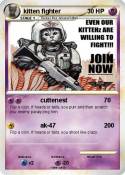 kitten fighter