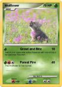 Wolflower