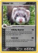 FERRET EX