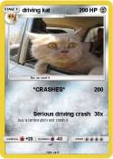 driving kat