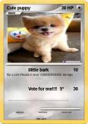 Cute puppy