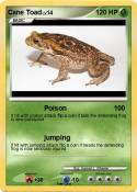 Cane Toad