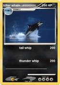 killer whale