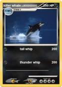 killer whale