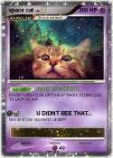 space cat