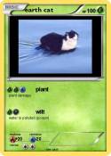 earth cat