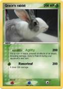 Grace's rabbit