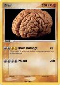 Brain