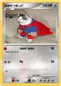 super cat super cat