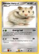 Hamster Harry