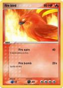 fire bird