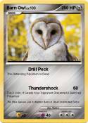 Barn Owl