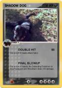 SHADOW DOG