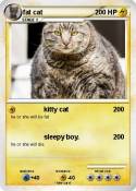 fat cat