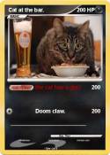 Cat at the bar.