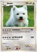 Westie