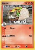 taco cat