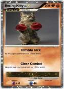 Boxing Kitty