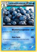 Lardhat(blueberry)