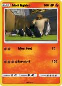 Mort fighter