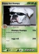 floppy foo