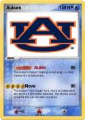Auburn Auburn