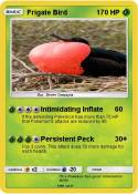 Frigate Bird