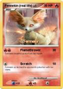 Fennekin (real
