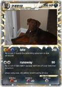 puppup