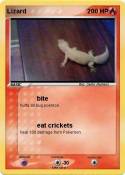 Lizard