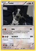 foster