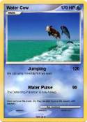 Water Cow