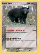 Black Bear