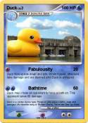 Duck